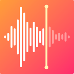 Voice Recorder & Voice Memos